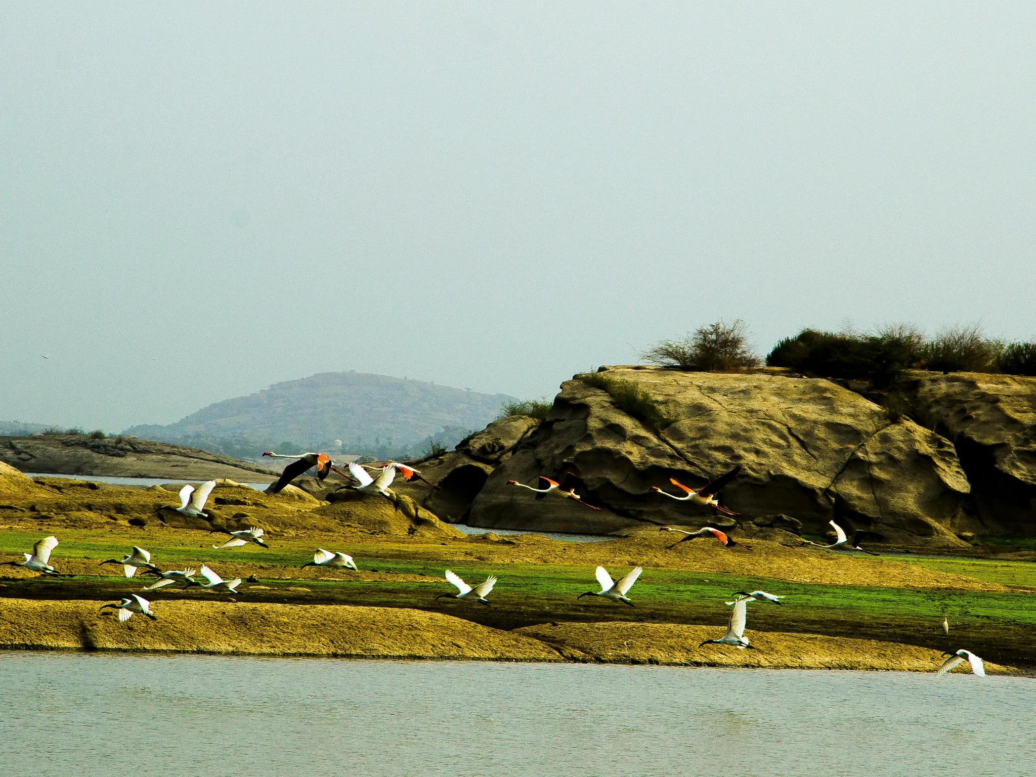 Granite hills at Jawai Bandh